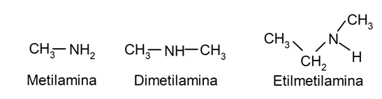 organic chemistry