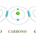 octet rule
