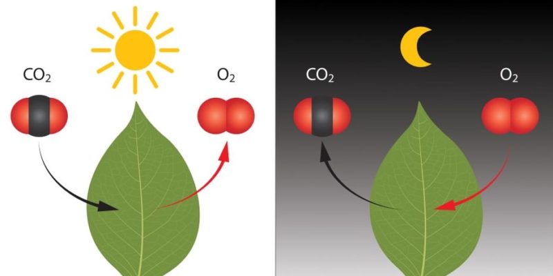 chemical reaction