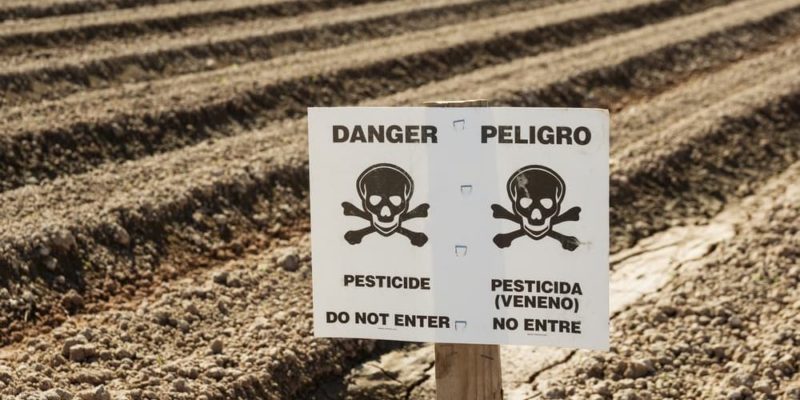 pesticide pesticide danger