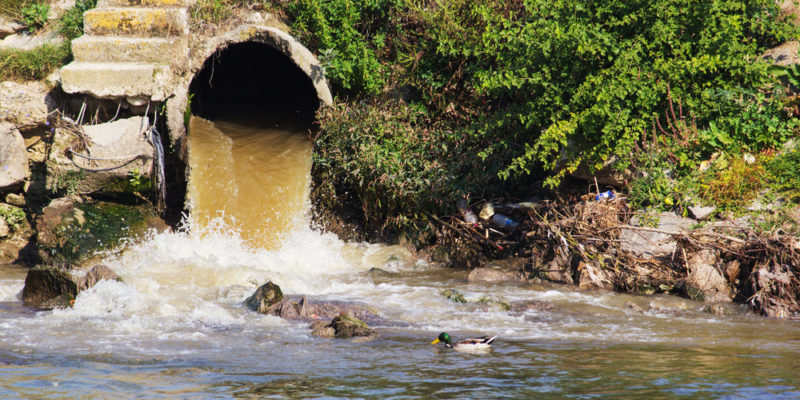 Water pollution
