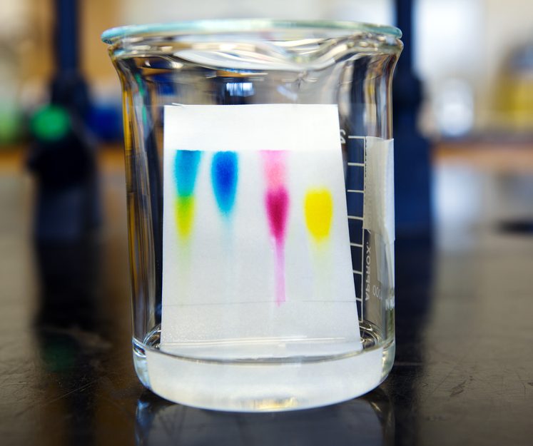 chromatography