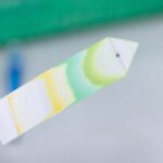 Chromatography
