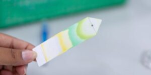 Chromatography