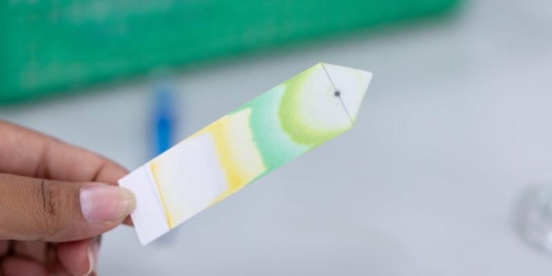 Chromatography