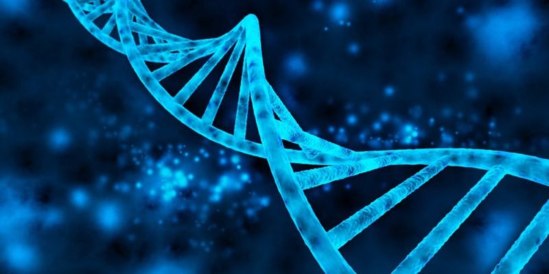 linear macromolecules dna