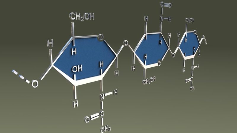 mushroom organic polymer