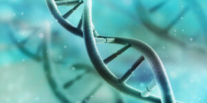 Genotype