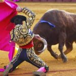 Bullfighting Bullfighting