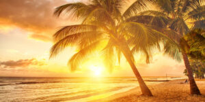 Sunshine