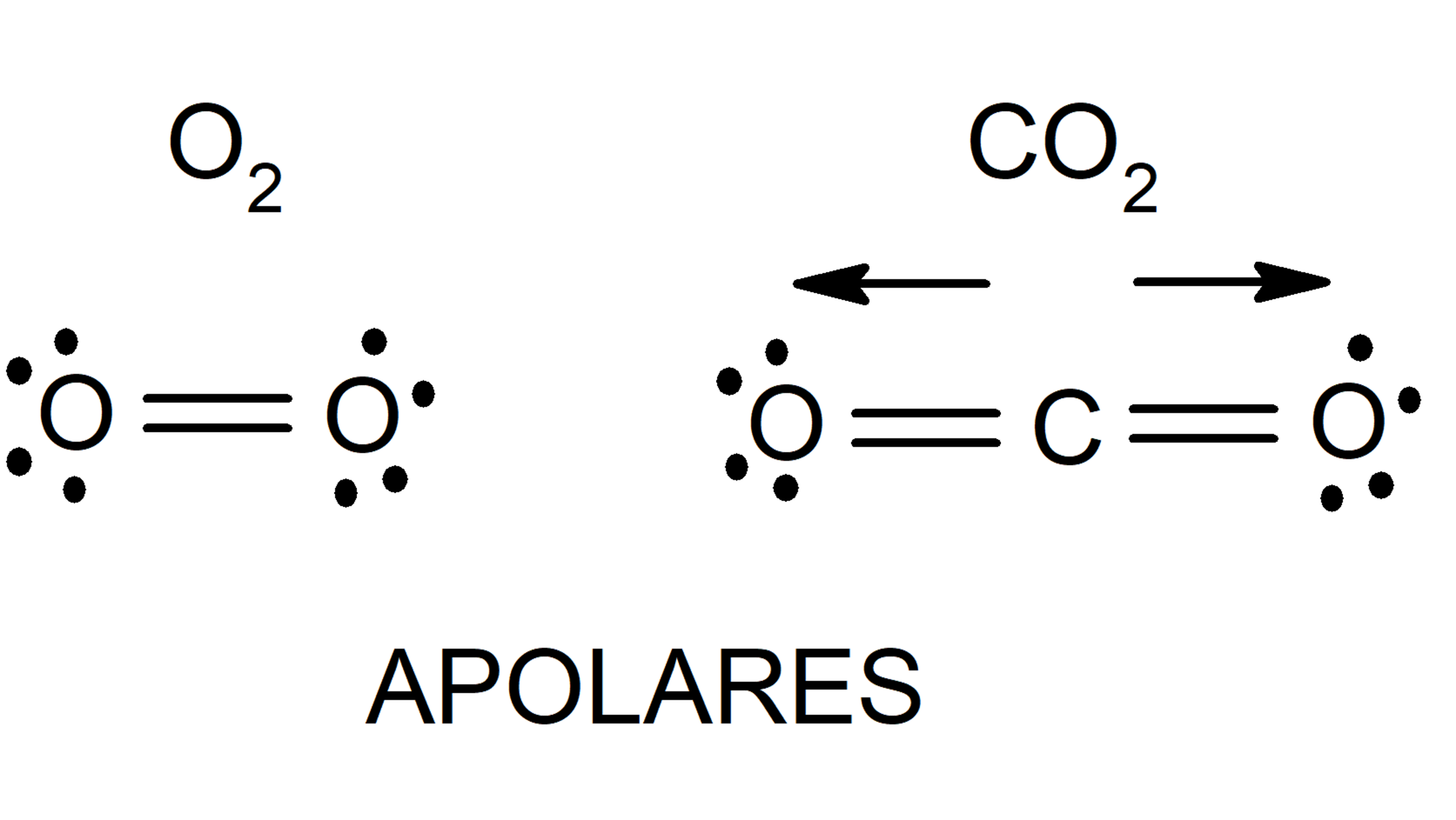 van der waals forces