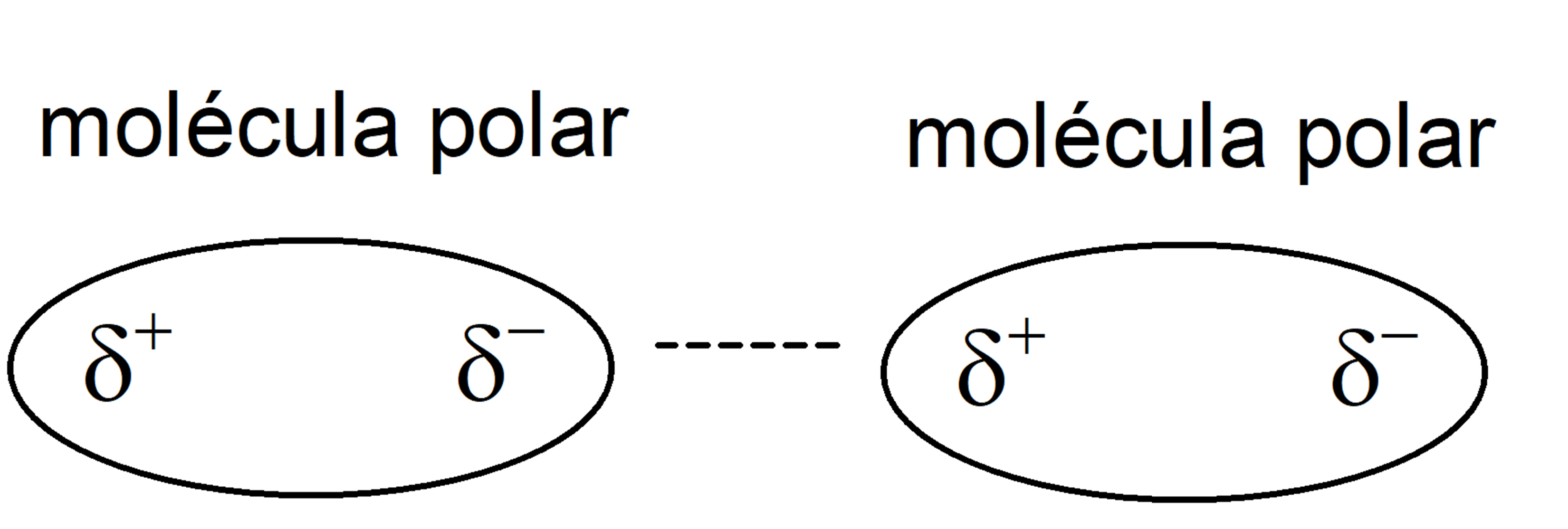 van der waals forces