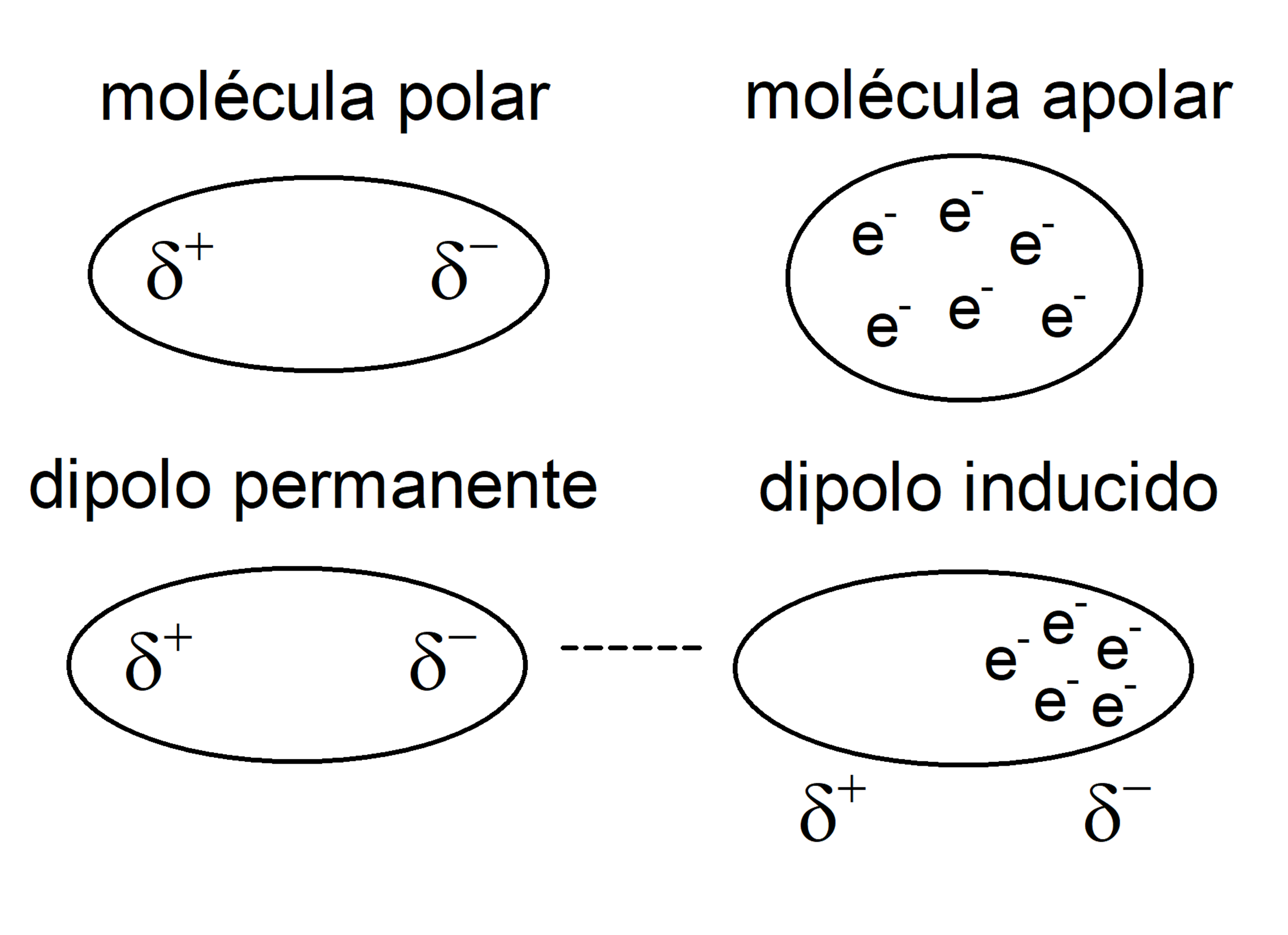 van der waals force