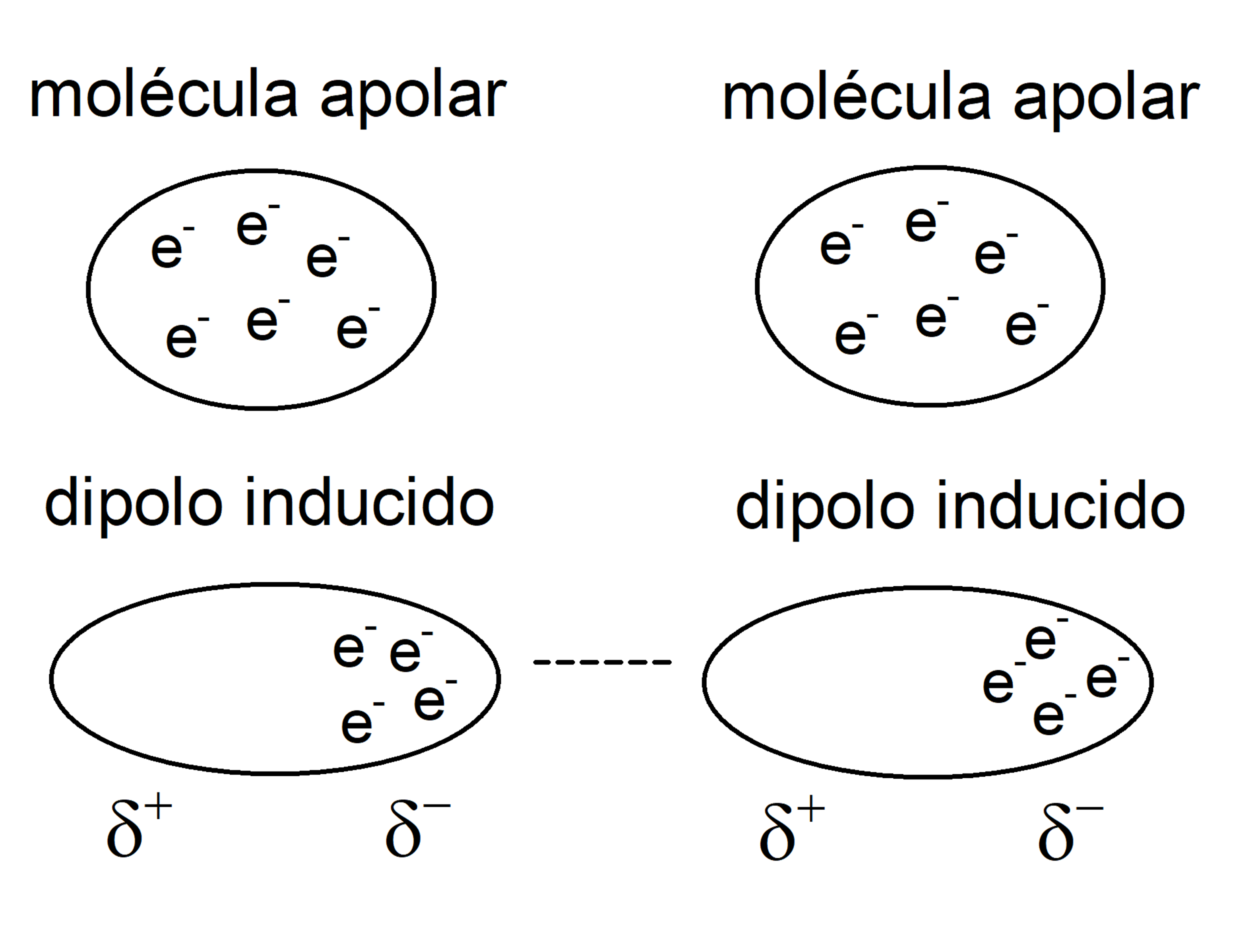 van der waals forces