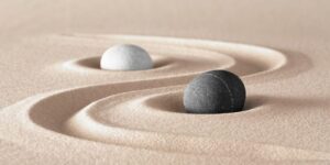 Yin-Yang