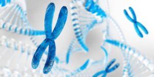 Chromosomes