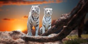 living beings