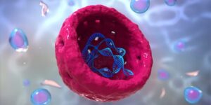 Nucleolus