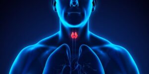 endocrine system