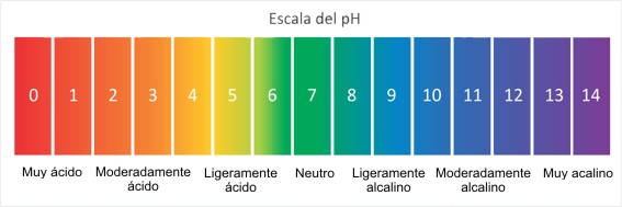 ph scale