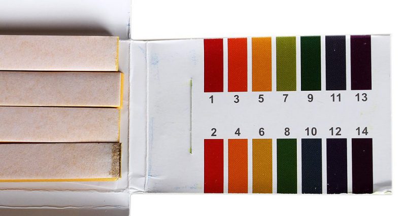 Litmus paper