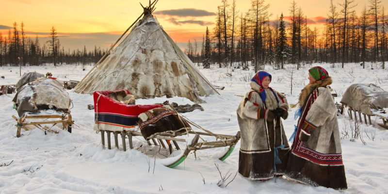 Nenets indigenous peoples