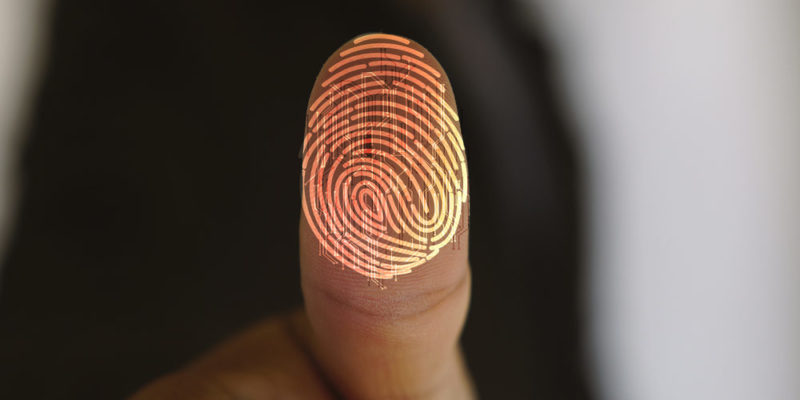 Identity - Fingerprint