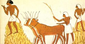 First agricultural civilizations