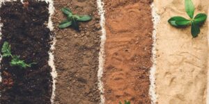 Soil types