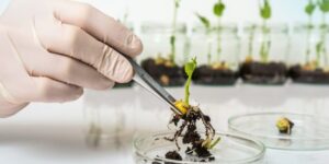 Biotechnology