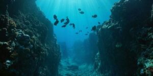 oceanic trenches
