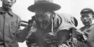Chinese Cultural Revolution