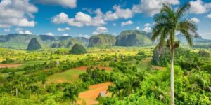 Cultural landscape