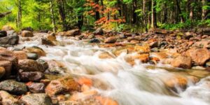 Erosion (Meaning and Explanation)