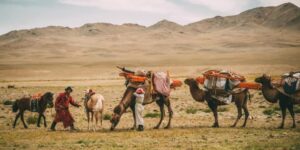 Nomadic and sedentary peoples