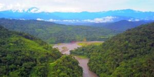 Peruvian jungle