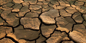 Soil erosion