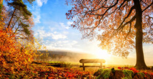 Equinox