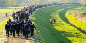 Migration