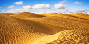 Desert