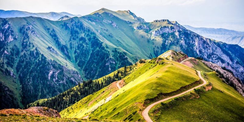 Mountain-vegetation