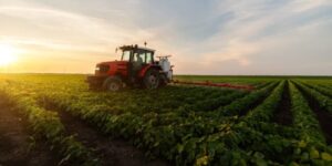 Agricultural sector