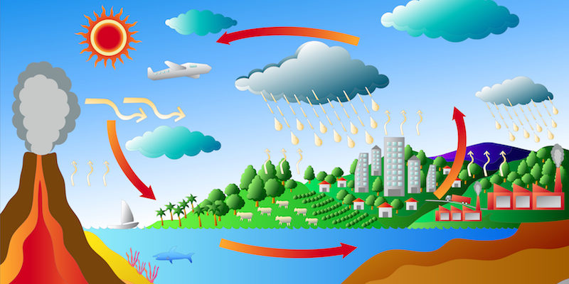 biogeochemical cycles