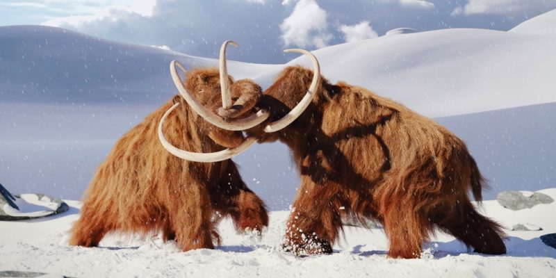 biological evolution of extinct animals