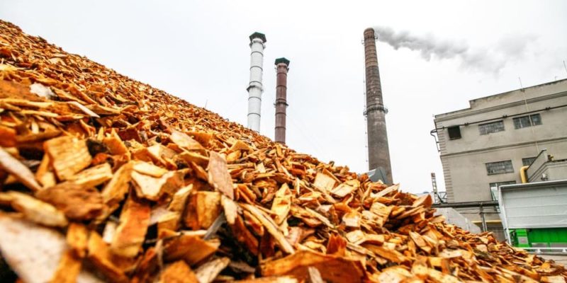 biomass renewable energy