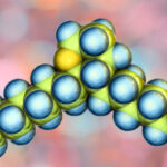 Biomolecules
