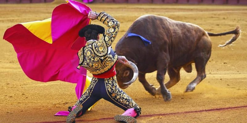 bullfighting