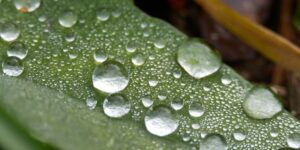 Condensation