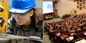 Differences between trade and profession