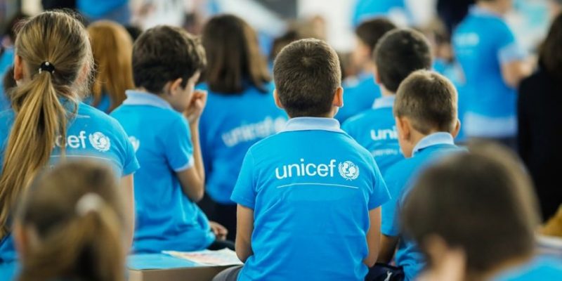 lucrative and non-profit organizations unicef